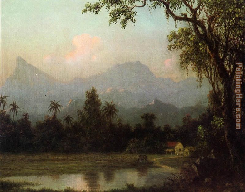 Rio de Janeiro, South American Scene with Cabin painting - Martin Johnson Heade Rio de Janeiro, South American Scene with Cabin art painting